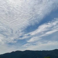 やま (@g1v5d8eu444912) 's Twitter Profile