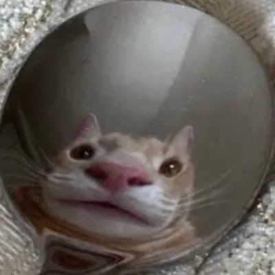 nathanlmao1's profile picture. 