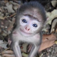 Austin (@austxn0) 's Twitter Profile