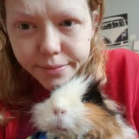 Jen, Cat Stevens and Sandwich(guinea pigs) (@hydroxytorquine) Twitter profile photo