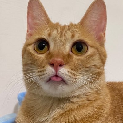 Kz89620's profile picture. 