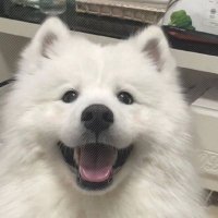 水XD (@shui_a39493) Twitter profile photo