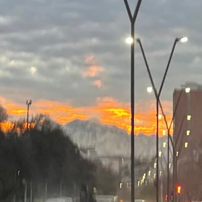 jorgeerices1's profile picture. 