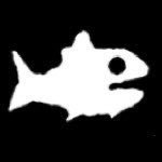 fishtankdotlive Profile Picture