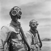 S. R. Heimark 🇵🇸 (@srheimark) 's Twitter Profile Photo