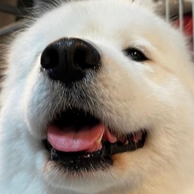 wlx0110_'s profile picture. 