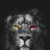 Galatasaray sevdam #okannefreti (@mur15779) Twitter profile photo Galatasaray sevdam #okannefreti (@mur15779) Twitter profile photo