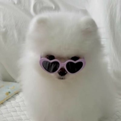 LOVEYOU63445404's profile picture. 🍑Valentine & Birthday boy🐶