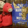 theliterarypig's profile picture. '17 WINNER #CWPrize Can & Eur @GrantaMag. Author #HairyOnTheInside @AdHocFiction & #TheNamingOfMoths @fly_press. Highly Com @iaminprint Crime #Novel Comp 2024