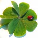 jack bartram - @neslimetedeniz - Twitter