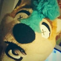 Foxberance (@foxberance) 's Twitter Profile
