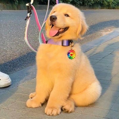 khatat12allil's profile picture. Good things always happen around the next bend.