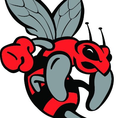Seneca Sting Profile