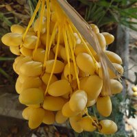 shahin jamali (💙,🧡) ❤️ Memecoin (@shahin888145) 's Twitter Profile