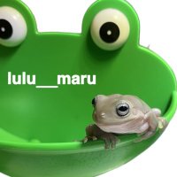 lulu𓆡𓈒𓏸(@lulu__maru) 's Twitter Profile Photo