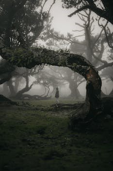 e4MBko9Tj9fm5HK's profile picture. 僕には、ただ超かわいいだけじゃなくて、もっとたくさんの超能力があるんだ。 それなら友達になってください！