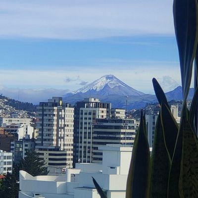 mariileonf's profile picture. Psicóloga...                                        
Dream Big-Be Grateful-Give Love-Laugh Lots