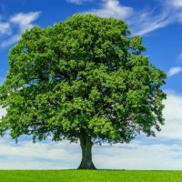 Heschum ♂️ 😷🇺🇦 🇮🇱 🎗️ #noAFD (@bunghem89) Twitter profile photo