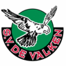 DeValken's profile picture. Een rood hart met een streepje groen.