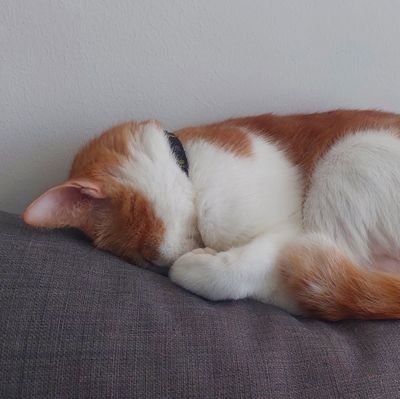 iCerappp's profile picture. Umirah's & Ardani's