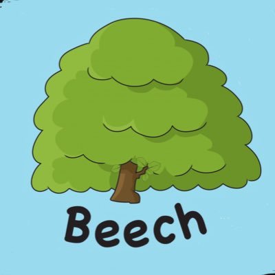 Beech Tree Class Great Sankey Primary School