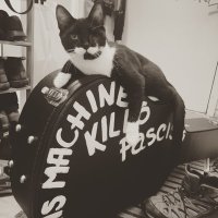 K H Jones (@khjones) 's Twitter Profile