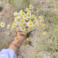 𝙈𝙂 (@miinegurbuz) Twitter profile photo