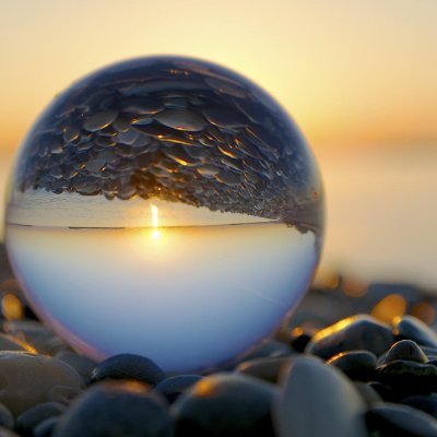 wayne8219683984's profile picture. 