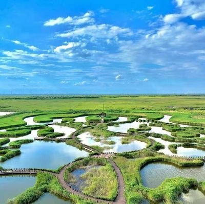 lmdllh481883823's profile picture. لنا الله