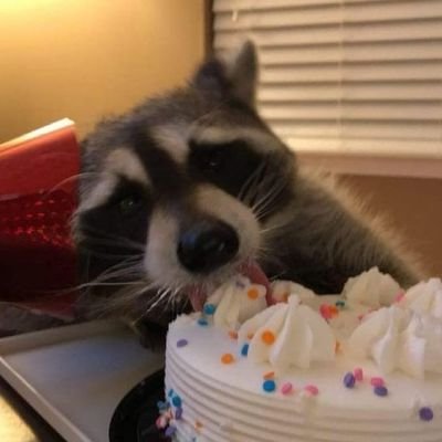 DexLxstMoved's profile picture. Moved account @DexLxst