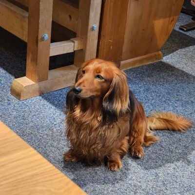 jeanssassy's profile picture. ติดตามเยอะสิ่ง.. อะไรดีอะไรถูกจริตติดตามหมด😎.. ยังติดตาม 702 อยู่นะ..