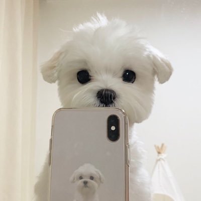 เมเม ft.ติดวาโลさんのプロフィール画像