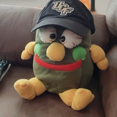 UCF_Pickle's profile picture. I'm a pickle that graduated from the University of Central Florida.
