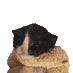 Lynsk (@xlynsk) Twitter profile photo Lynsk (@xlynsk) Twitter profile photo