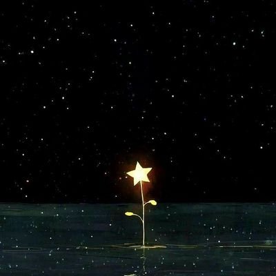 hansaminishiho's profile picture. 