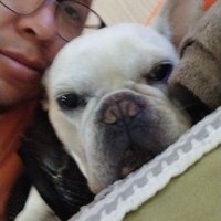 Roromr (@roromr3) 's Twitter Profile