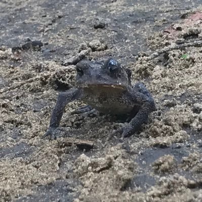 formolboy's profile picture. Appelez moi Salut.