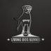 Living Dog Kennel (@livingdogkennel) Twitter profile photo