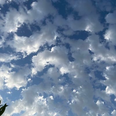 Isfalada58's profile picture. 