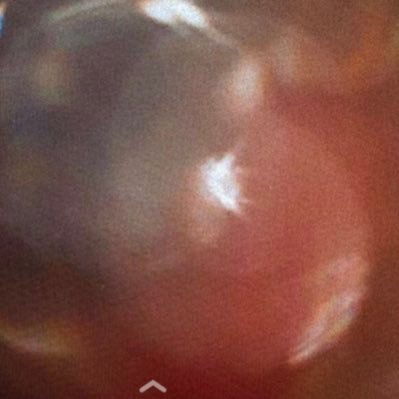 pairash12's profile picture. 