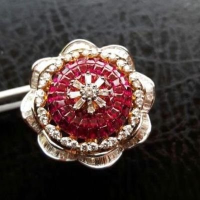 sanatkarmar531's profile picture. 