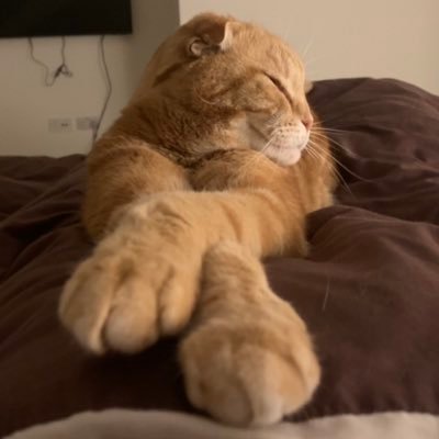 UraniumCasper's profile picture. Ex-banker turned cat enthusiast & wannabe uranium/precious metals investor. I talk my book—stocks in my tweets are owned unless stated otherwise.