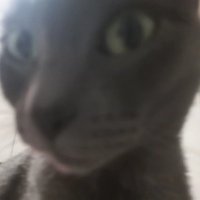 Reborn F/A (@wazains35939) 's Twitter Profile