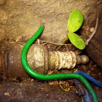 Aaronfixtec's profile picture. México tiene todo para ser un país de bienestar para todos, espero vivir lo suficiente para verlo.