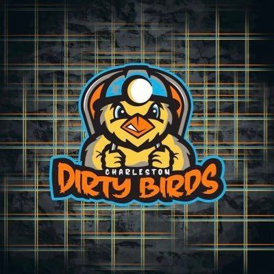 dirtybirdscwv Profile Picture