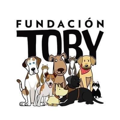 Fundación Toby Profile