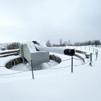 Ayo1443828's profile picture. 