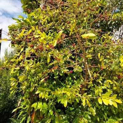 68zdNrO5vEN7nnl's profile picture. 