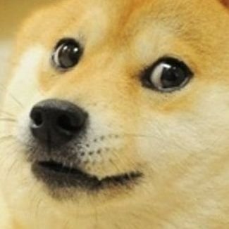 xA4ryA's profile picture. 