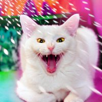 JENMEDIA (@therealjenmedia) 's Twitter Profile Photo JENMEDIA (@therealjenmedia) 's Twitter Profile Photo